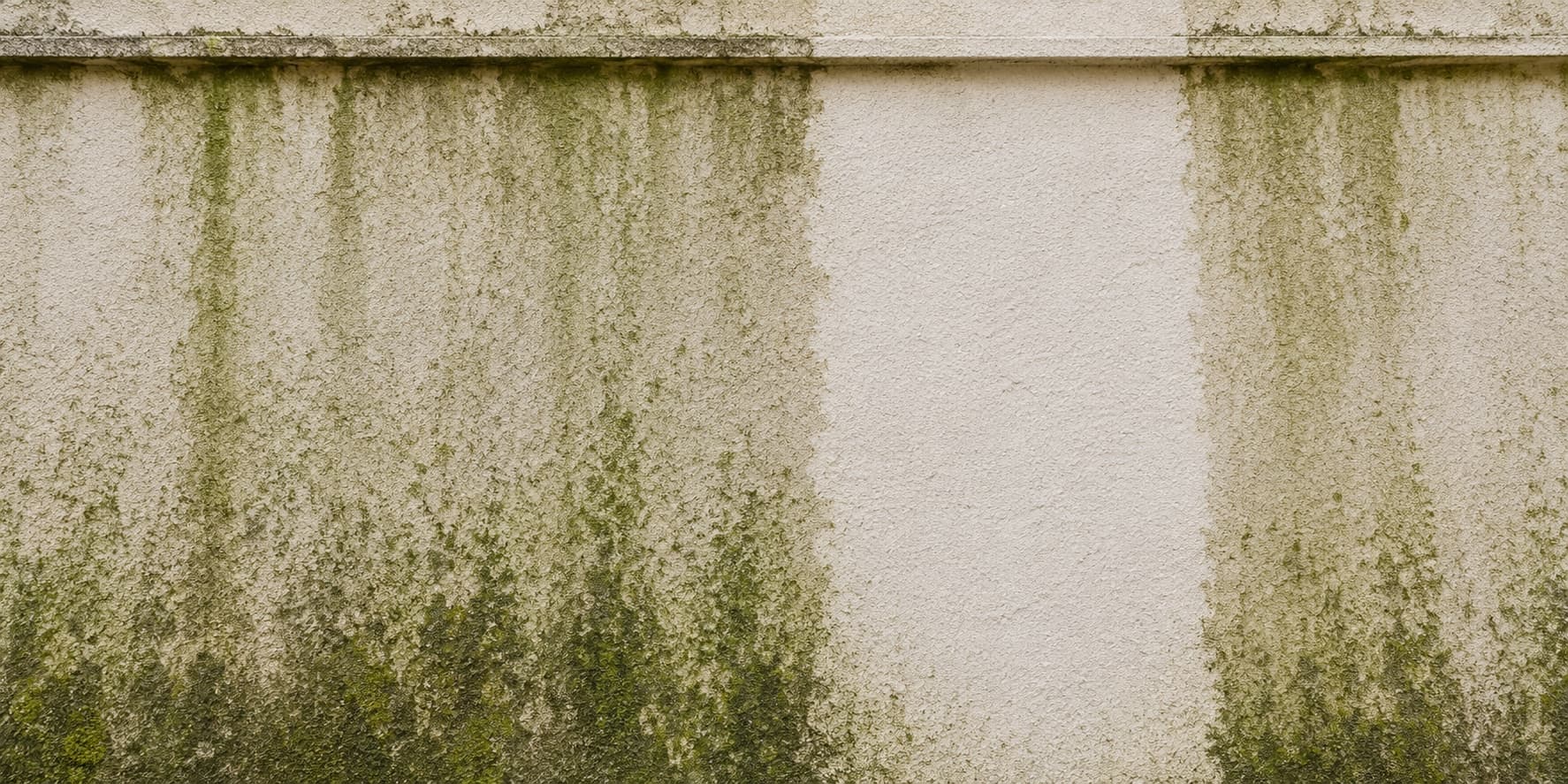 Light facade render with green algae streaks and one washed, clean vertical band